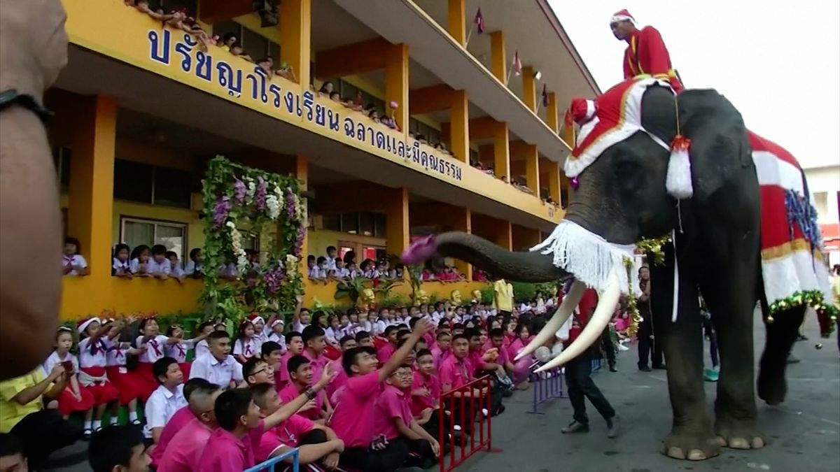 Video: Thajským školákům vozí dárky sloni místo sobů